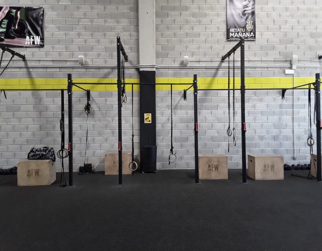 Box y cross training